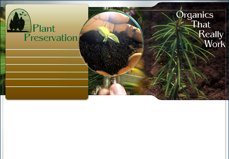 Tree Fertilization Banner